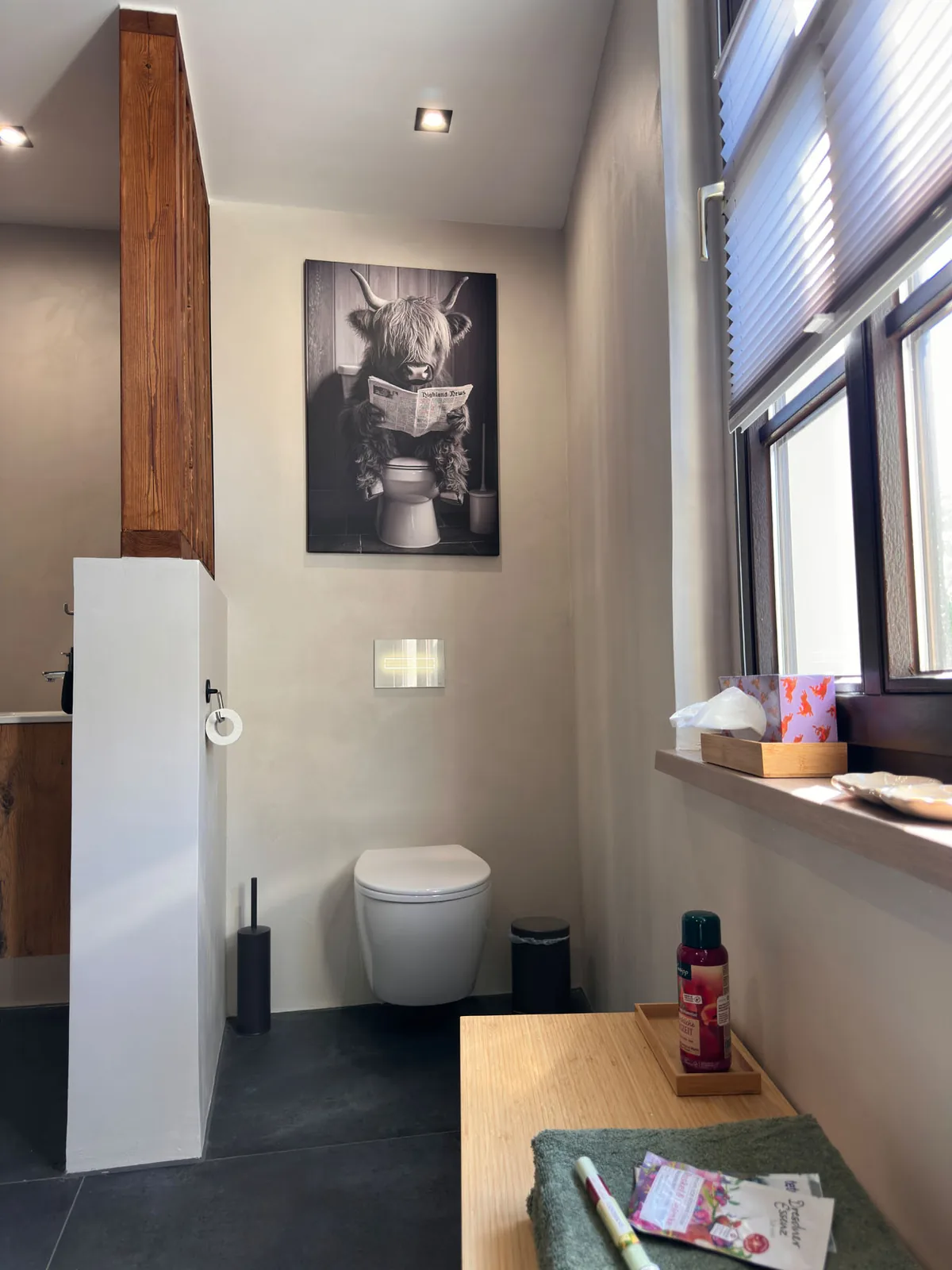 Badezimmer mit Dusche und WC in der Ferienwohnung Schlossblick