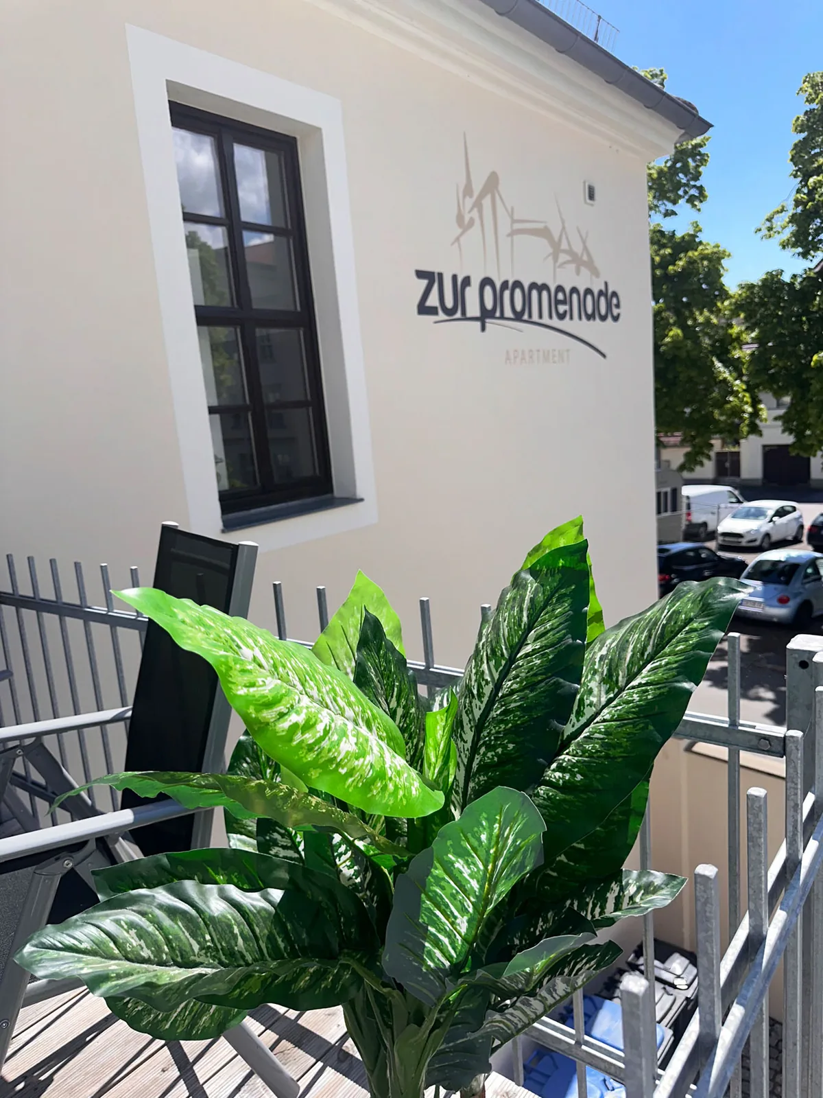 Balkon der Ferienwohnung Schlossblick mit grünen Pflanzen