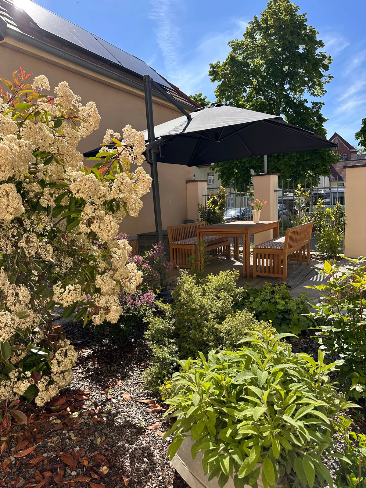 Garten und Terrasse mit Sonnenschirm am Altstadtdomizil Torgau