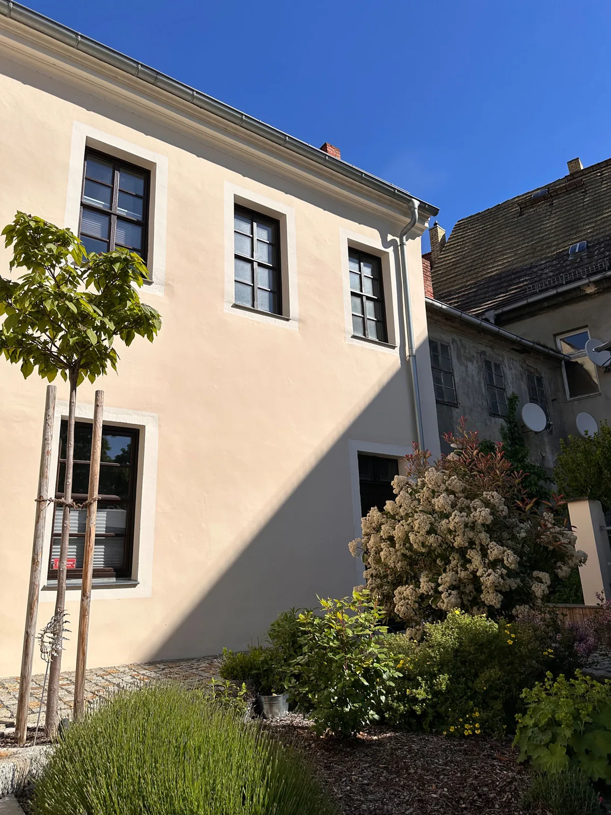 Begrünter Innenhof des Altstadtdomizils Zur Promenade in Torgau
