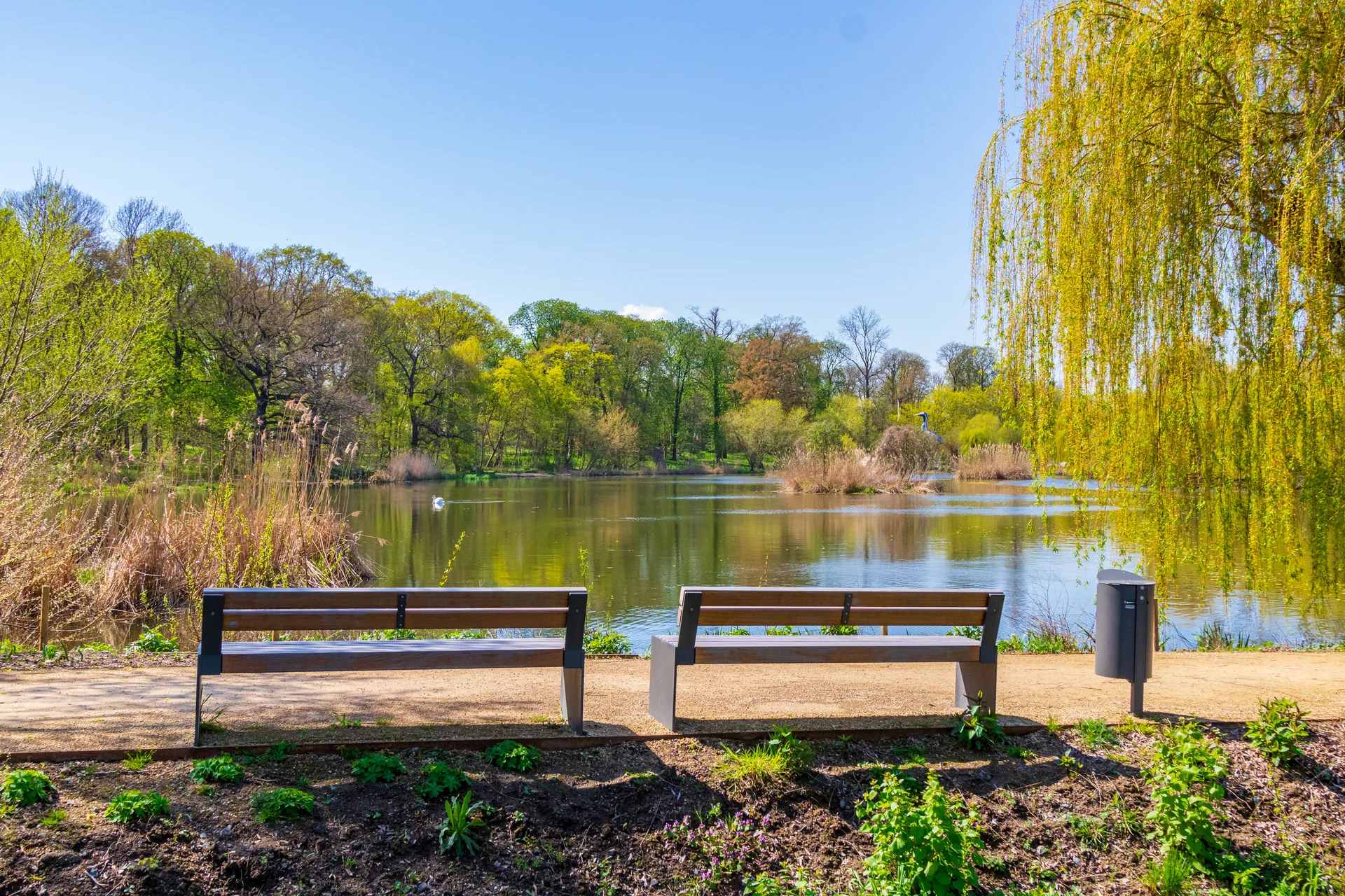 Frühlingsstimmung am Teich im Torgauer Glacis Stadtpark